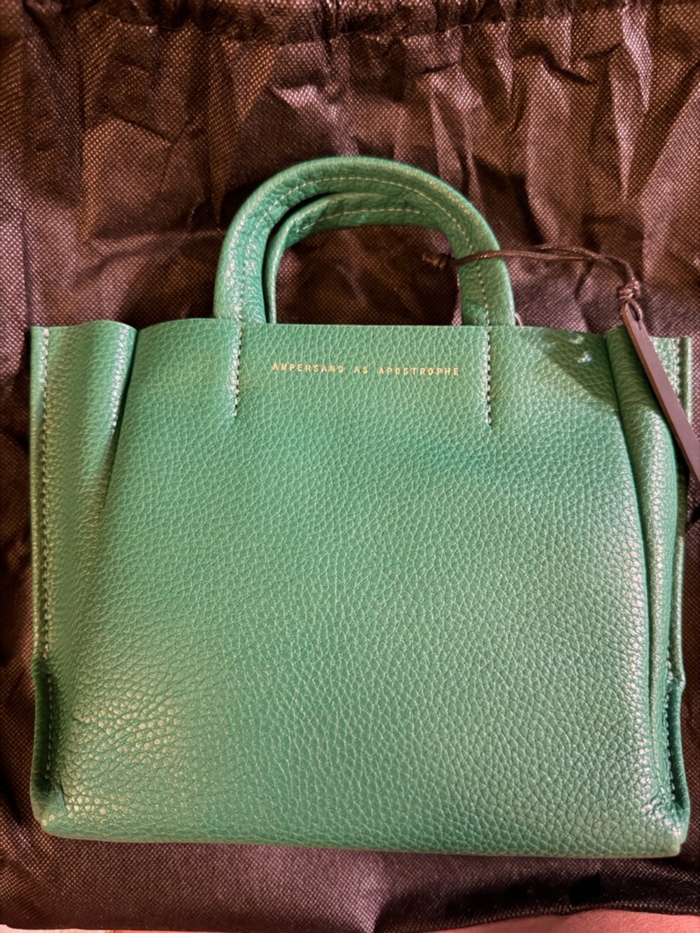 Authentic Ampersand as Apostrophe Green Leather Mini Tote